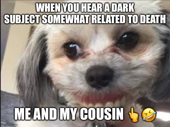 I have issues maybe | WHEN YOU HEAR A DARK SUBJECT SOMEWHAT RELATED TO DEATH; ME AND MY COUSIN 👆🤣 | image tagged in sydney rathfon,dark humor,laughing | made w/ Imgflip meme maker