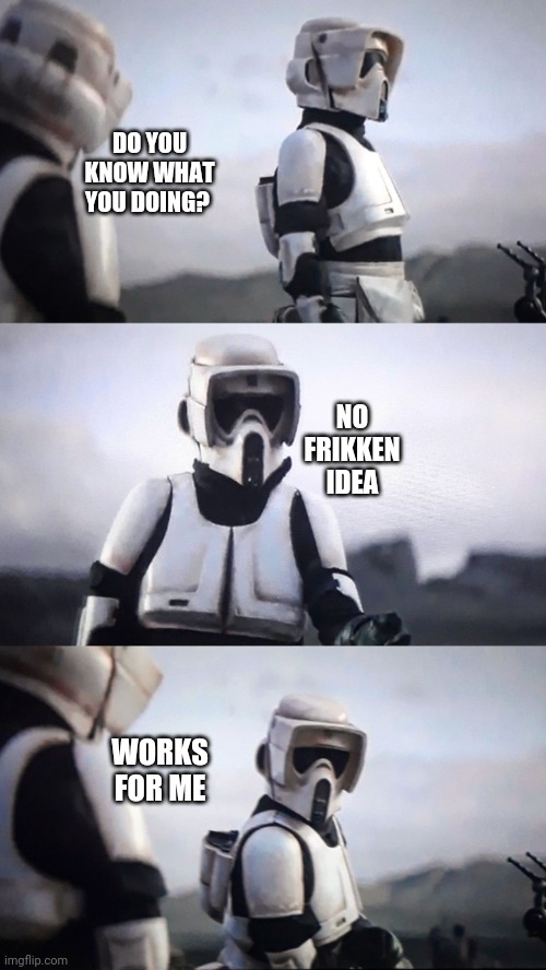Storm Trooper Conversation | DO YOU KNOW WHAT YOU DOING? NO FRIKKEN IDEA WORKS FOR ME | image tagged in storm trooper conversation | made w/ Imgflip meme maker
