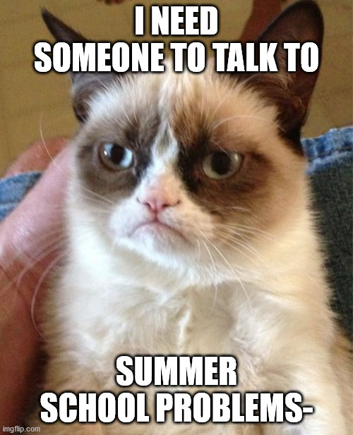 Grumpy Cat | I NEED SOMEONE TO TALK TO; SUMMER SCHOOL PROBLEMS- | image tagged in memes,grumpy cat | made w/ Imgflip meme maker