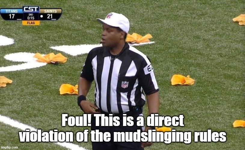 Fouls | Foul! This is a direct violation of the mudslinging rules | image tagged in fouls | made w/ Imgflip meme maker