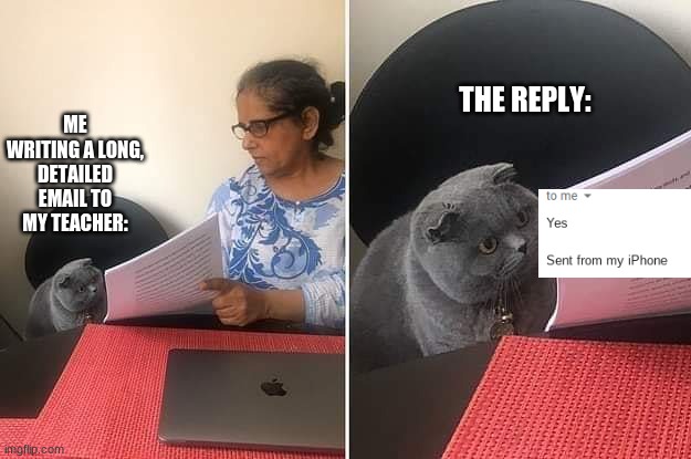 True story ? | THE REPLY:; ME WRITING A LONG, DETAILED EMAIL TO MY TEACHER: | image tagged in woman showing paper to cat | made w/ Imgflip meme maker