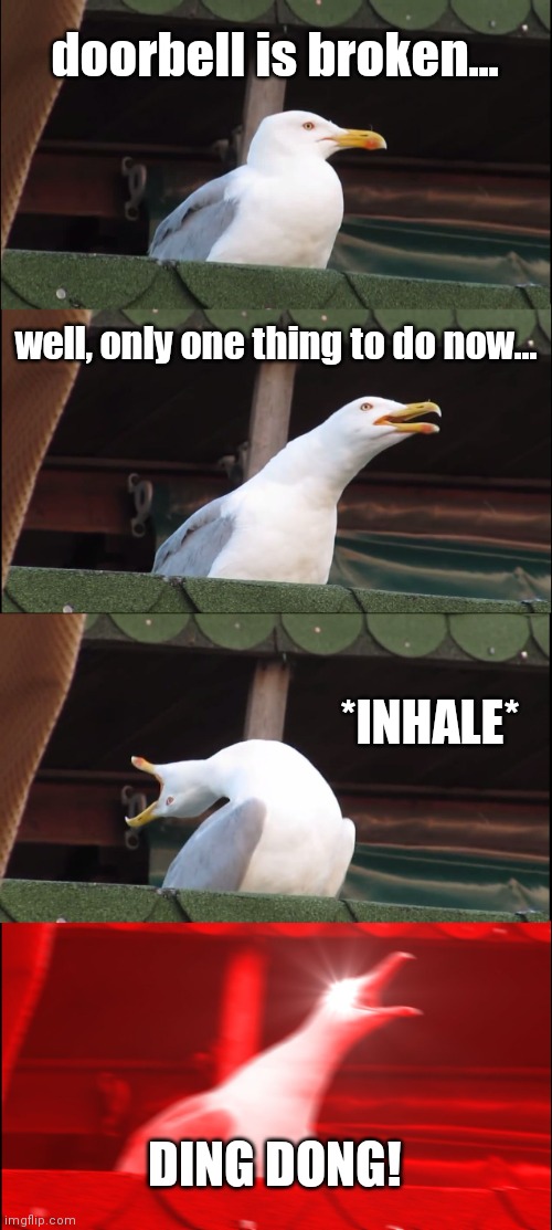 Inhaling Seagull Meme | doorbell is broken... well, only one thing to do now... *INHALE* DING DONG! | image tagged in memes,inhaling seagull | made w/ Imgflip meme maker