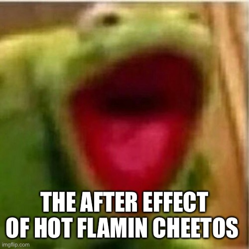 POV painful | THE AFTER EFFECT OF HOT FLAMIN CHEETOS | image tagged in ahhhhhhhhhhhhh,pain,i think we all know where this is going | made w/ Imgflip meme maker