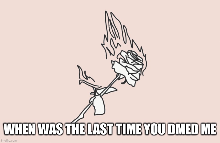 burning rose | WHEN WAS THE LAST TIME YOU DMED ME | image tagged in burning rose | made w/ Imgflip meme maker