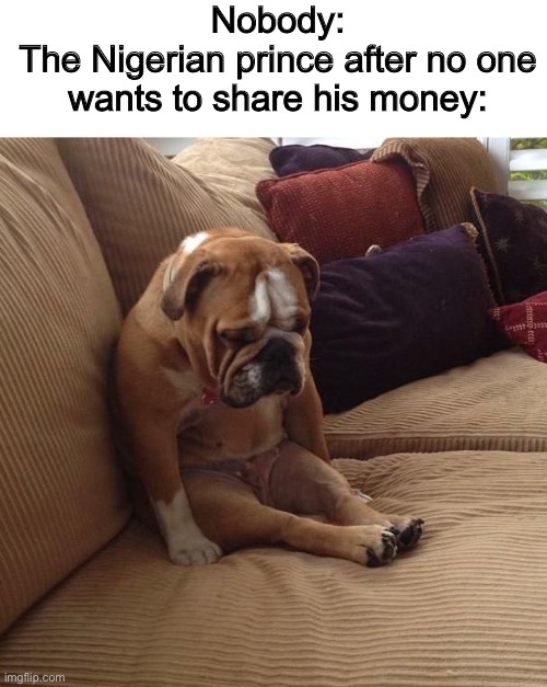bulldogsad | Nobody:
The Nigerian prince after no one wants to share his money: | image tagged in bulldogsad,memes,funny | made w/ Imgflip meme maker