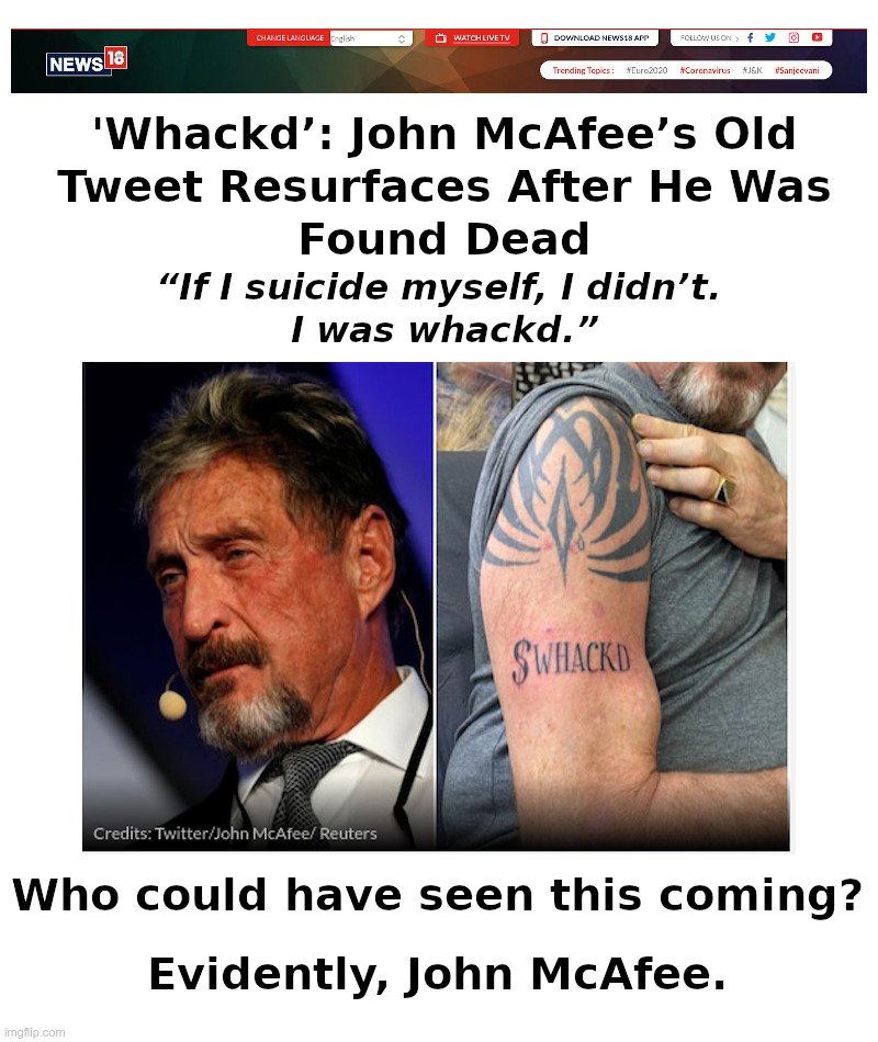 McAfee Whacked? Who Could Have Seen This Coming? | image tagged in john mcafee didn't kill himself,jeffrey epstein,deep state,deep fried,suicide | made w/ Imgflip meme maker