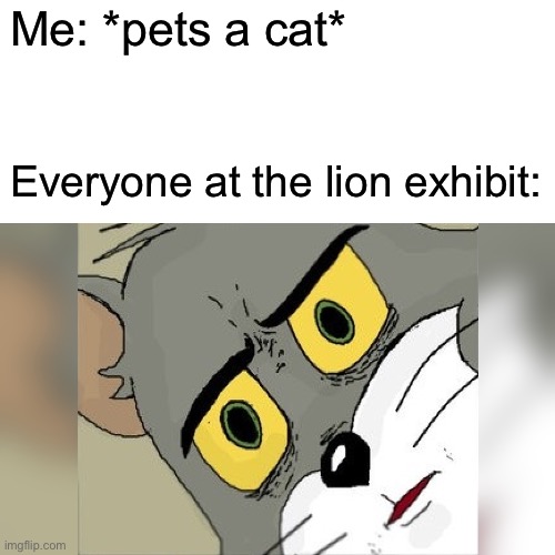 Not a good idea |  Me: *pets a cat*; Everyone at the lion exhibit: | image tagged in unsettled tom,bad idea,funny memes | made w/ Imgflip meme maker