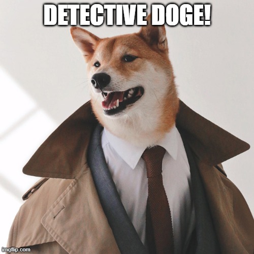 detective doge | DETECTIVE DOGE! | image tagged in doge,dogs | made w/ Imgflip meme maker