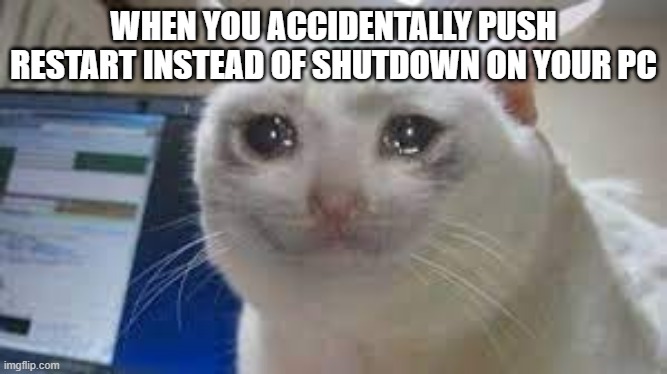 WHEN YOU ACCIDENTALLY PUSH RESTART INSTEAD OF SHUTDOWN ON YOUR PC | image tagged in cat,funny | made w/ Imgflip meme maker