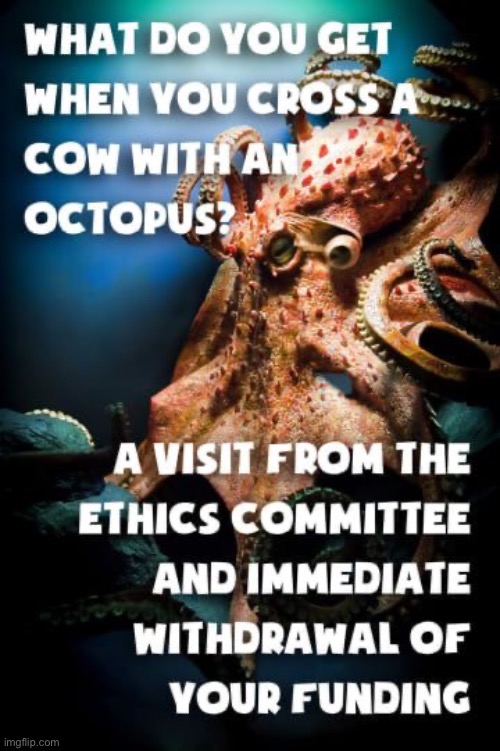 Question | WHAT DO YOU GET WHEN YOU CROSS A COW WITH AN OCTOPUS? A VISIT FROM THE ETHICS COMMITTEE AND IMMEDIATE WITHDRAWAL OF YOUR FUNDING | image tagged in science,ethics,research,dark humor,rick75230 | made w/ Imgflip meme maker