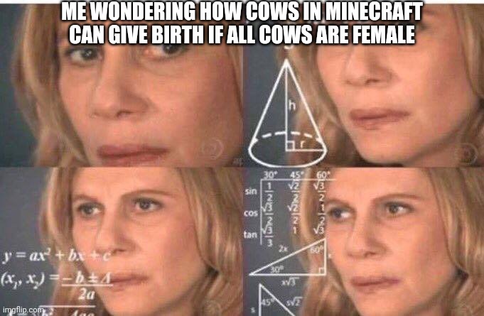 Why Mojang??? | ME WONDERING HOW COWS IN MINECRAFT CAN GIVE BIRTH IF ALL COWS ARE FEMALE | image tagged in math lady/confused lady | made w/ Imgflip meme maker