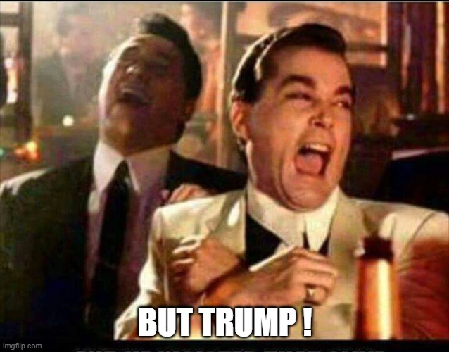 Lol good fellas  | BUT TRUMP ! | image tagged in lol good fellas | made w/ Imgflip meme maker