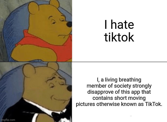 Try saying this instead | I hate tiktok; I, a living breathing member of society strongly disapprove of this app that contains short moving pictures otherwise known as TikTok. | image tagged in memes,tuxedo winnie the pooh,tiktok | made w/ Imgflip meme maker