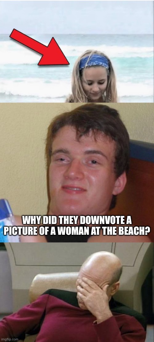 Fun With YouTube Thumbnails | WHY DID THEY DOWNVOTE A PICTURE OF A WOMAN AT THE BEACH? | image tagged in memes,10 guy,captain picard facepalm,youtube | made w/ Imgflip meme maker