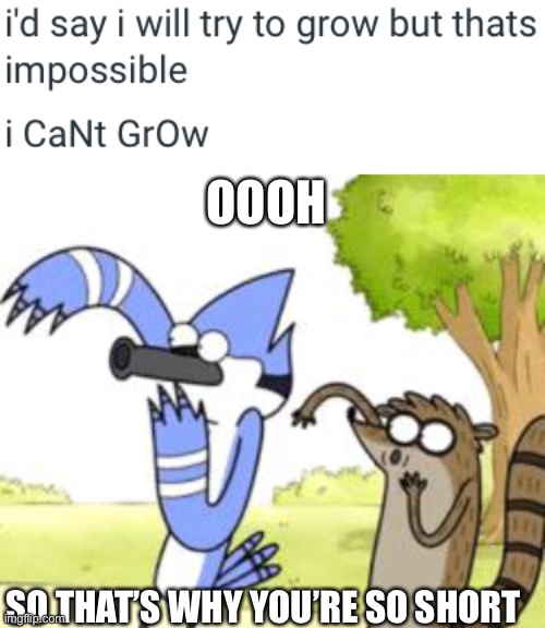 Short |  OOOH; SO THAT’S WHY YOU’RE SO SHORT | image tagged in regular show ohhh,short | made w/ Imgflip meme maker
