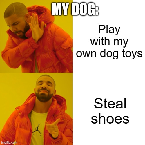 my dog loves stealing shoes | MY DOG:; Play with my own dog toys; Steal shoes | image tagged in memes,drake hotline bling | made w/ Imgflip meme maker