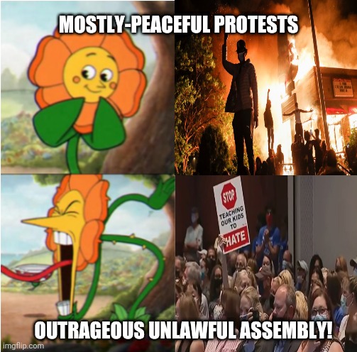 race theory | MOSTLY-PEACEFUL PROTESTS; OUTRAGEOUS UNLAWFUL ASSEMBLY! | image tagged in liberal hypocrisy | made w/ Imgflip meme maker