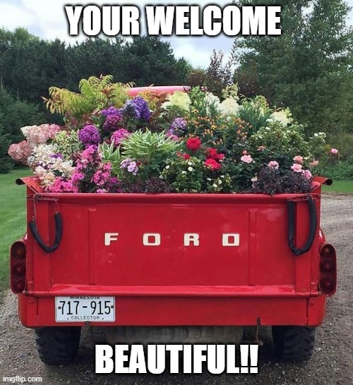 Beautiful Flowers for a beauty | YOUR WELCOME; BEAUTIFUL!! | image tagged in flowers | made w/ Imgflip meme maker