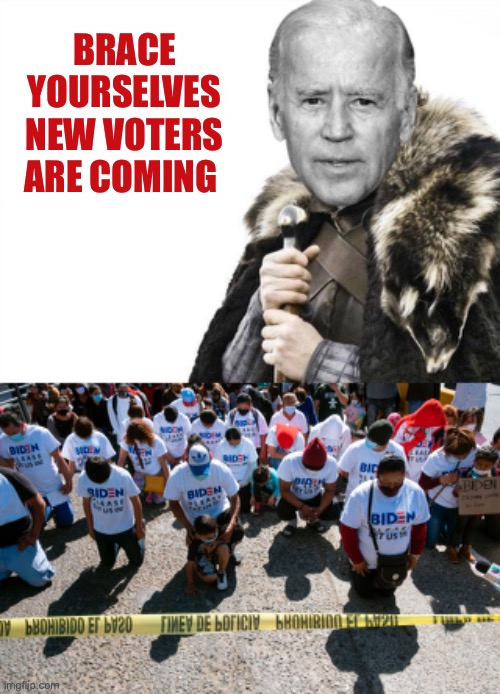 It’s not about compassion, it’s all about gaining voters | BRACE YOURSELVES NEW VOTERS ARE COMING | image tagged in brace yourselves plugs | made w/ Imgflip meme maker