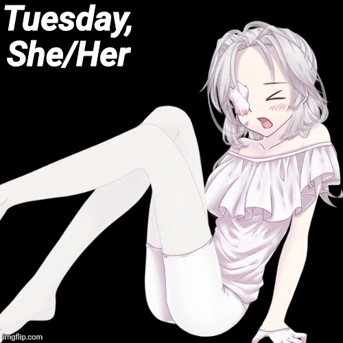 Tuesday, She/Her | made w/ Imgflip meme maker