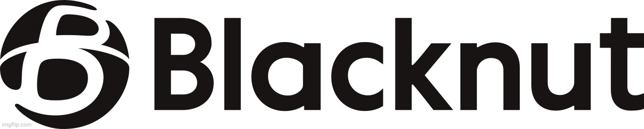 Blacknut gaming! | image tagged in blacknut gaming logo | made w/ Imgflip meme maker