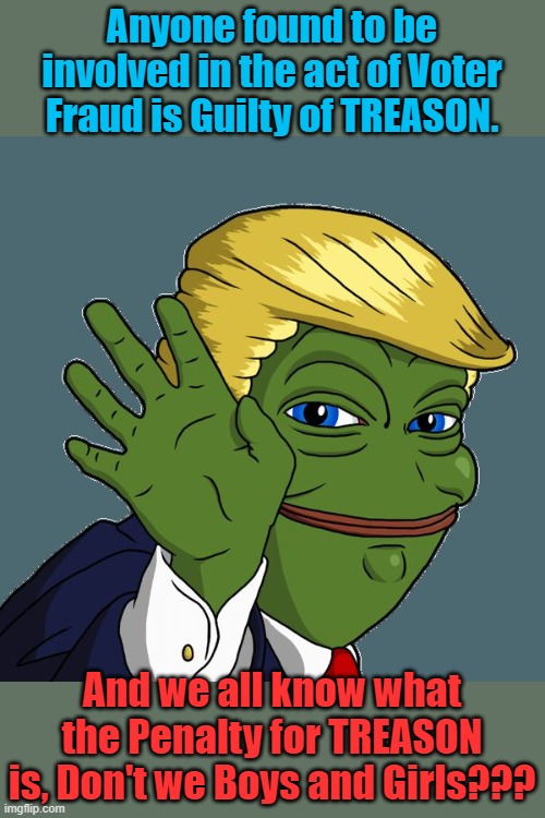 Trump pepe frog | Anyone found to be involved in the act of Voter Fraud is Guilty of TREASON. And we all know what the Penalty for TREASON is, Don't we Boys and Girls??? | image tagged in trump pepe frog | made w/ Imgflip meme maker