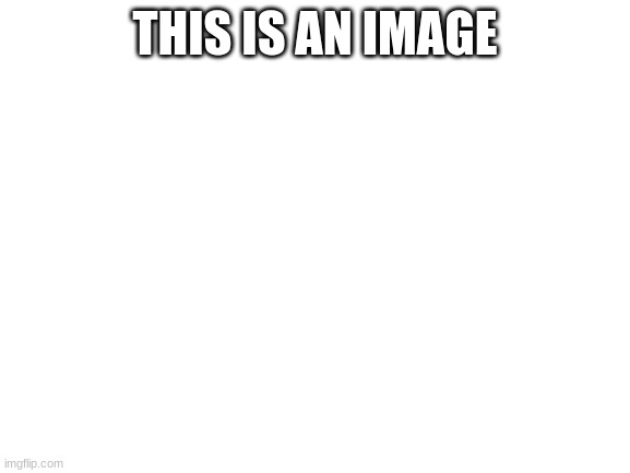 Blank White Template | THIS IS AN IMAGE | image tagged in blank white template | made w/ Imgflip meme maker