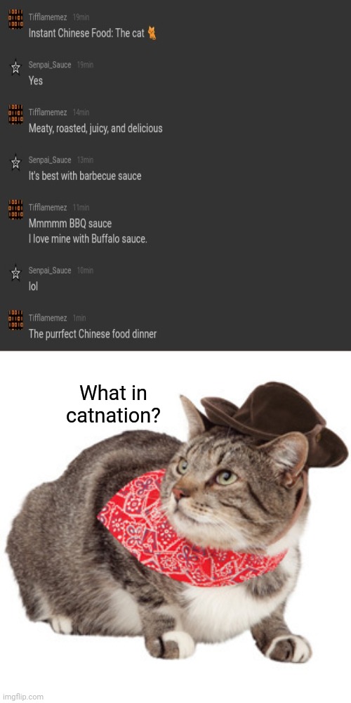 Interesting convo about dinner | What in catnation? | image tagged in what in tarnation,memes,conversation,chinese food,cat,dinner | made w/ Imgflip meme maker