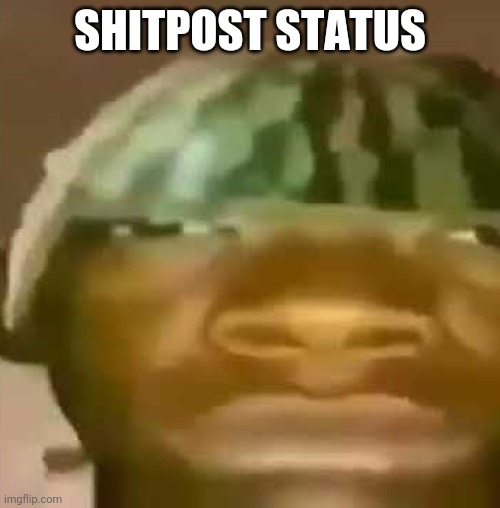 shitpost | SHITPOST STATUS | image tagged in shitpost | made w/ Imgflip meme maker
