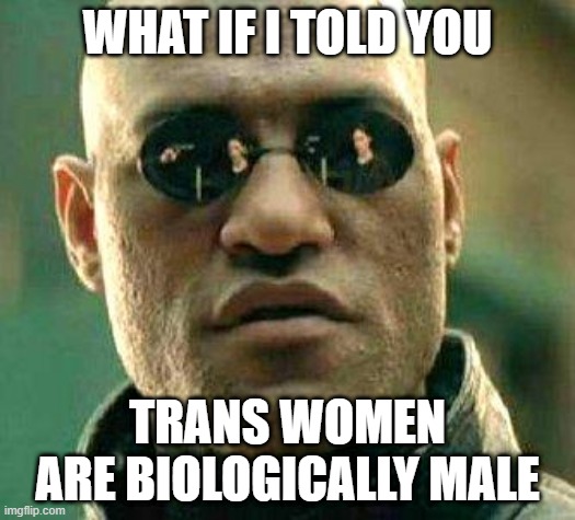 What if i told you | WHAT IF I TOLD YOU; TRANS WOMEN ARE BIOLOGICALLY MALE | image tagged in what if i told you | made w/ Imgflip meme maker