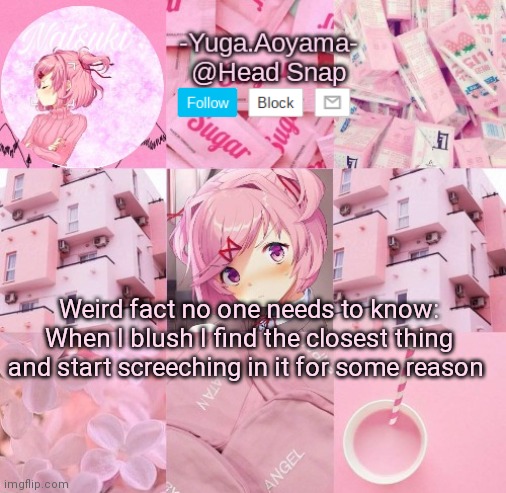 Natsuki temp | Weird fact no one needs to know:
When I blush I find the closest thing and start screeching in it for some reason | image tagged in natsuki temp | made w/ Imgflip meme maker