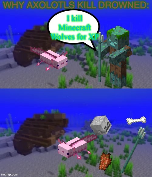 Why Axolotls kill Drowned: | I kill Minecraft Wolves for XP | image tagged in why axolotls kill drowned | made w/ Imgflip meme maker