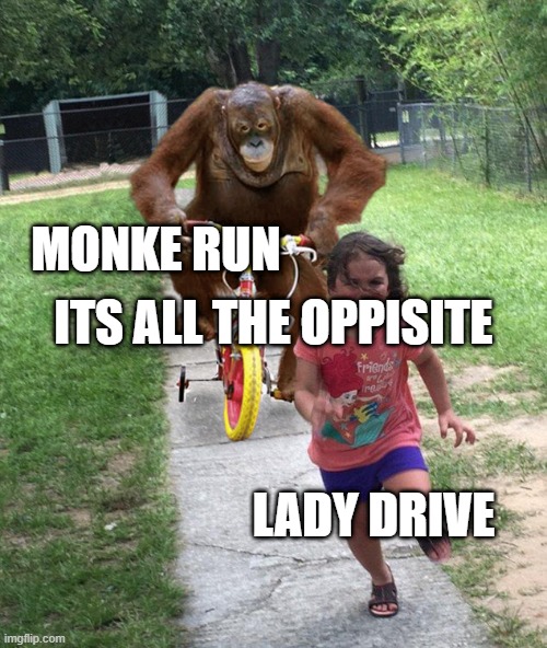 Orangutan chasing girl on a tricycle | MONKE RUN; ITS ALL THE OPPISITE; LADY DRIVE | image tagged in orangutan chasing girl on a tricycle | made w/ Imgflip meme maker