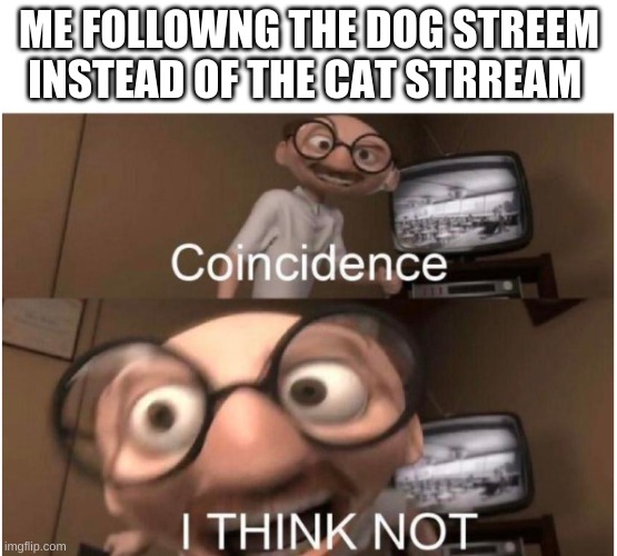 I'm just too lazy! | ME FOLLOWING THE DOG STREAM INSTEAD OF THE CAT STREAM | image tagged in coincidence i think not,funny,memes,dogs,cats | made w/ Imgflip meme maker