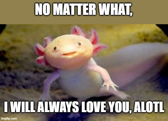  NO MATTER WHAT, I WILL ALWAYS LOVE YOU, ALOTL | made w/ Imgflip meme maker
