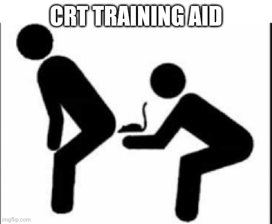 Politics and stuff | CRT TRAINING AID | image tagged in crt training | made w/ Imgflip meme maker