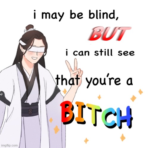 I may be blind but I can still see that you’re a bitch Blank Meme Template