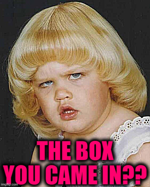 Huh | THE BOX YOU CAME IN?? | image tagged in huh | made w/ Imgflip meme maker