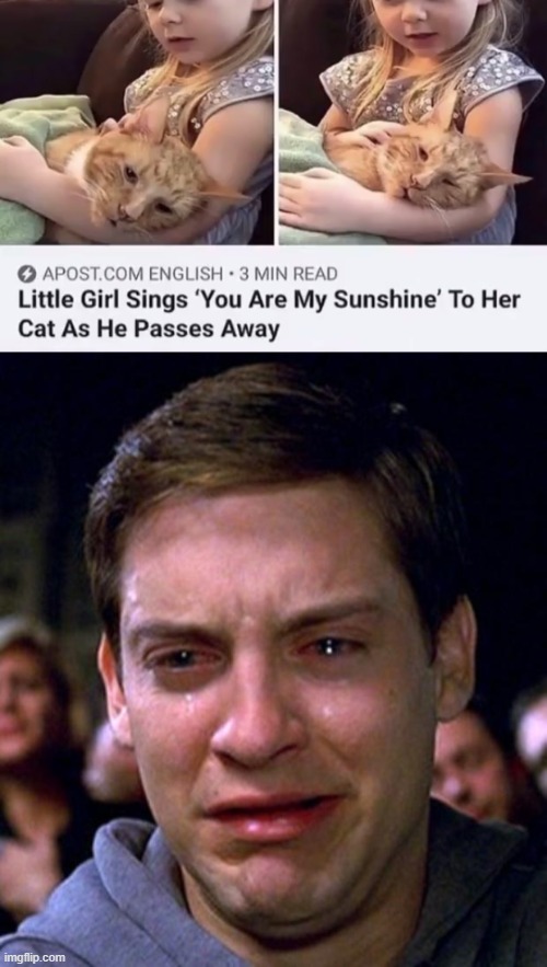 Crying right now :'( | image tagged in crying peter parker | made w/ Imgflip meme maker