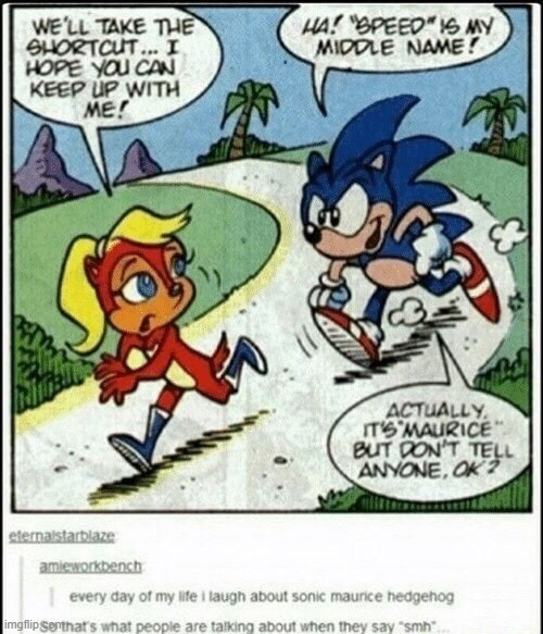 The secret revealed! | image tagged in comics,haha,sonic the hedgehog | made w/ Imgflip meme maker