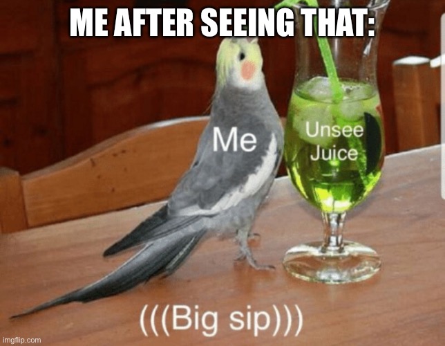 Unsee juice | ME AFTER SEEING THAT: | image tagged in unsee juice | made w/ Imgflip meme maker