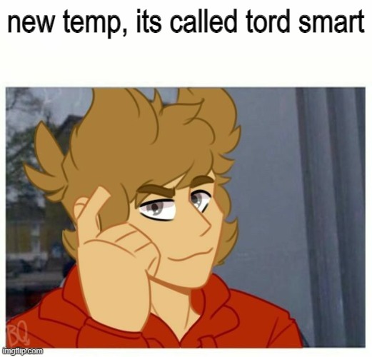 tord smart | new temp, its called tord smart | image tagged in tord smart | made w/ Imgflip meme maker