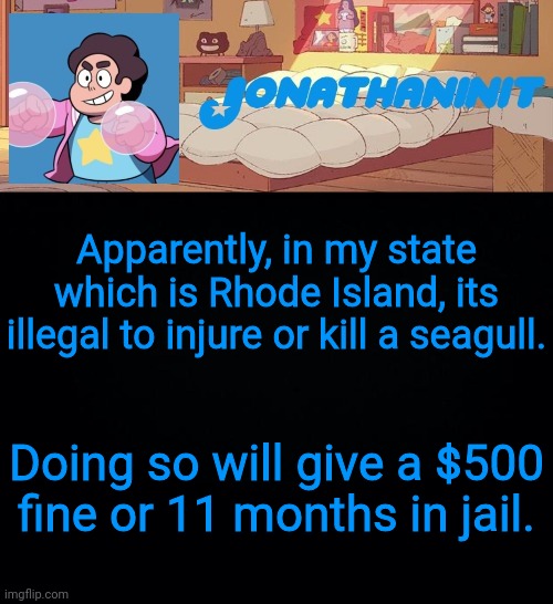 jonathaninit, but who knows what he was | Apparently, in my state which is Rhode Island, its illegal to injure or kill a seagull. Doing so will give a $500 fine or 11 months in jail. | image tagged in jonathaninit but who knows what he was | made w/ Imgflip meme maker