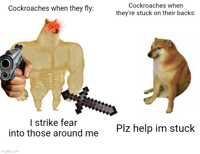 *insert creative title here* | Cockroaches when they're stuck on their backs:; Cockroaches when they fly:; Plz help im stuck; I strike fear into those around me | image tagged in memes,buff doge vs cheems | made w/ Imgflip meme maker