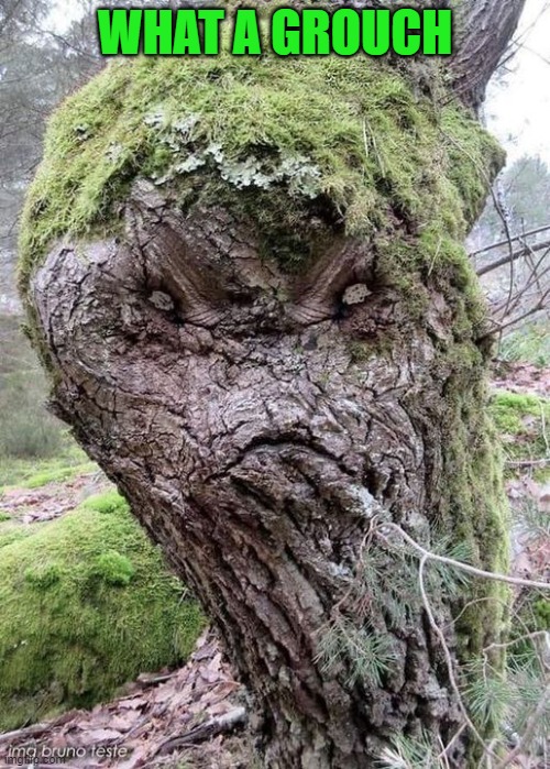 grouch tree | WHAT A GROUCH | image tagged in grouch,tree | made w/ Imgflip meme maker