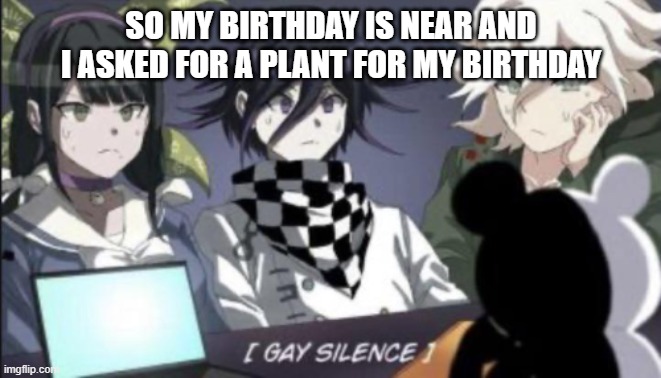 So yeah | SO MY BIRTHDAY IS NEAR AND I ASKED FOR A PLANT FOR MY BIRTHDAY | image tagged in gay silence | made w/ Imgflip meme maker