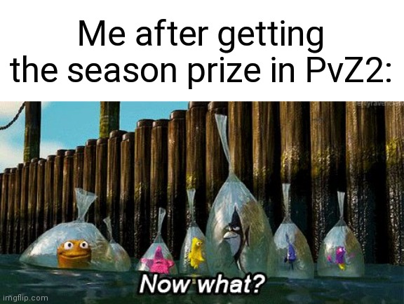 Now What? | Me after getting the season prize in PvZ2: | image tagged in memes,now what,plants vs zombies,pvz2 | made w/ Imgflip meme maker