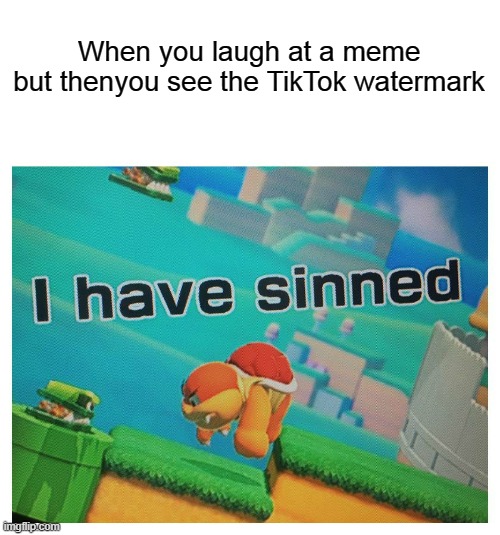 Sin | When you laugh at a meme but thenyou see the TikTok watermark | image tagged in sin | made w/ Imgflip meme maker