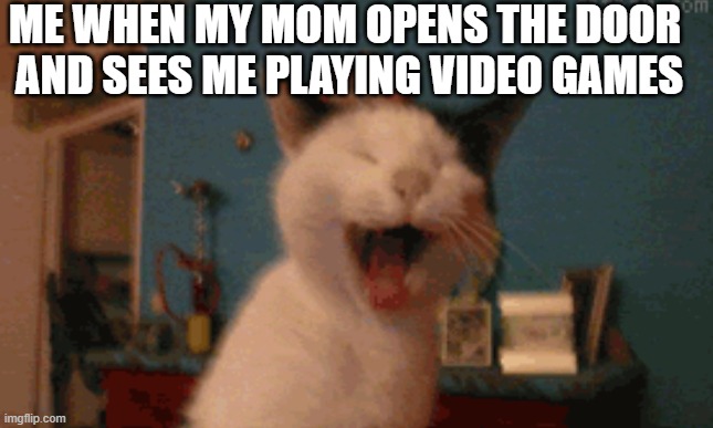 screaming cat | ME WHEN MY MOM OPENS THE DOOR 
AND SEES ME PLAYING VIDEO GAMES | image tagged in images,memes | made w/ Imgflip meme maker