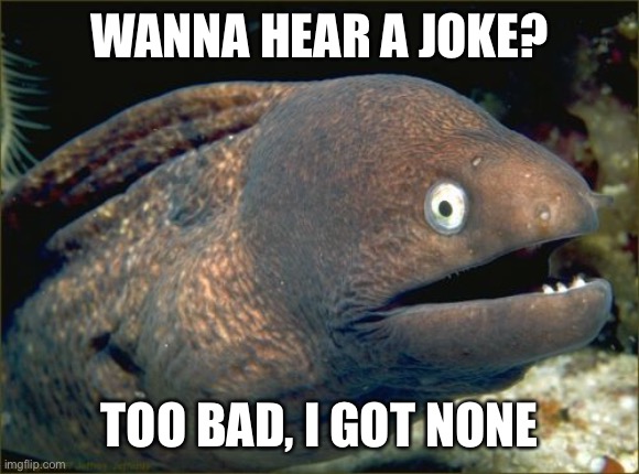 Idk why | WANNA HEAR A JOKE? TOO BAD, I GOT NONE | image tagged in memes,bad joke eel,stupid | made w/ Imgflip meme maker